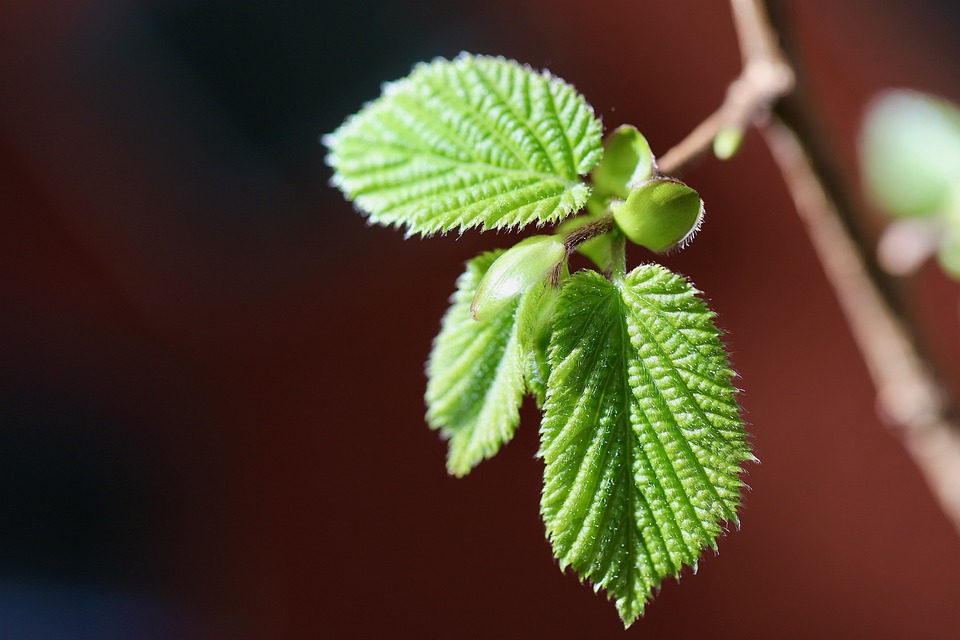 Corona-Regeln: Bundesregierung beschließt neue Maßnahmen zur Eindämmung der Pandemie