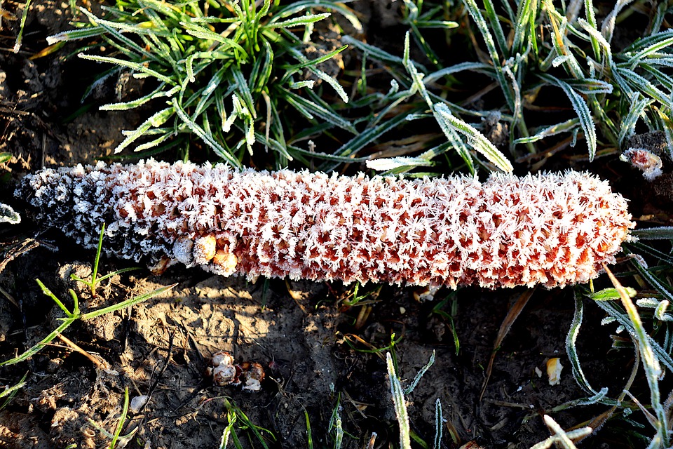 DAX bleibt stabil – Anleger behalten Nahost im Blick