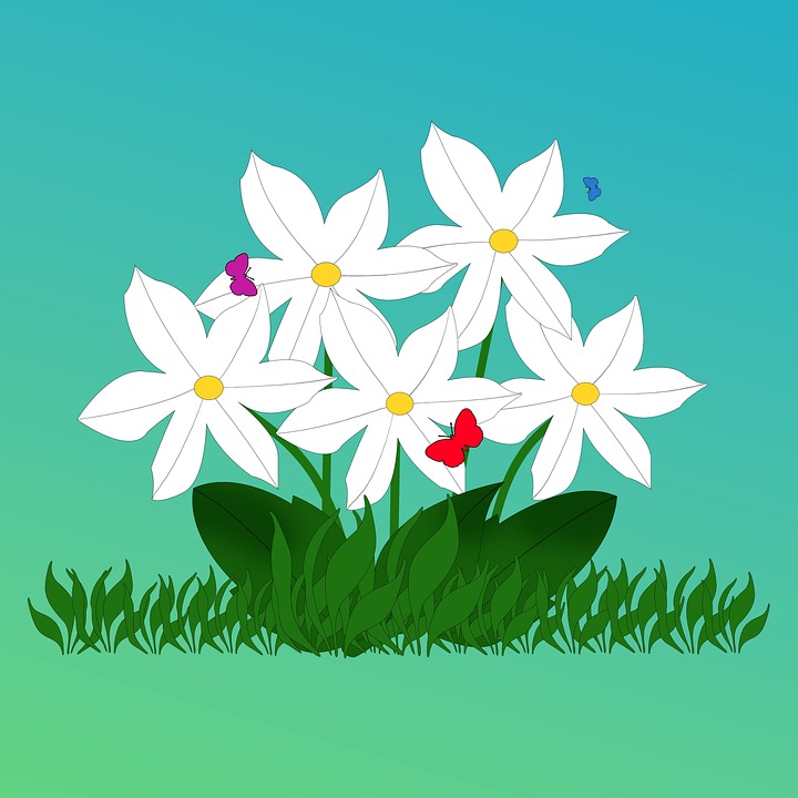 Digital Markets Act erzwingt WhatsApp-Interoperabilität