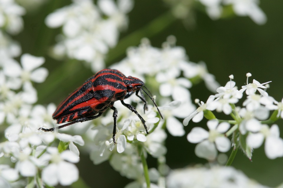 Fehler: Seite nicht gefunden – Was nun?
