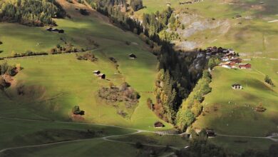 Versicherungen für ein sorgenfreies Auslandsjahr