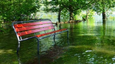 Wer zahlt bei Schäden durch Hochwasser?