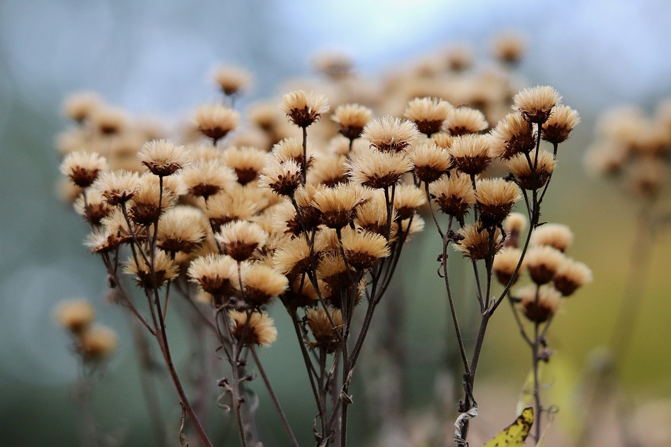 Kfz-Versicherung: Hohe Verluste durch steigende Reparaturkosten