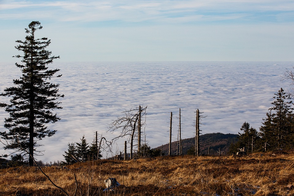 Klimakrise: Gletscher schmelzen schneller als je zuvor