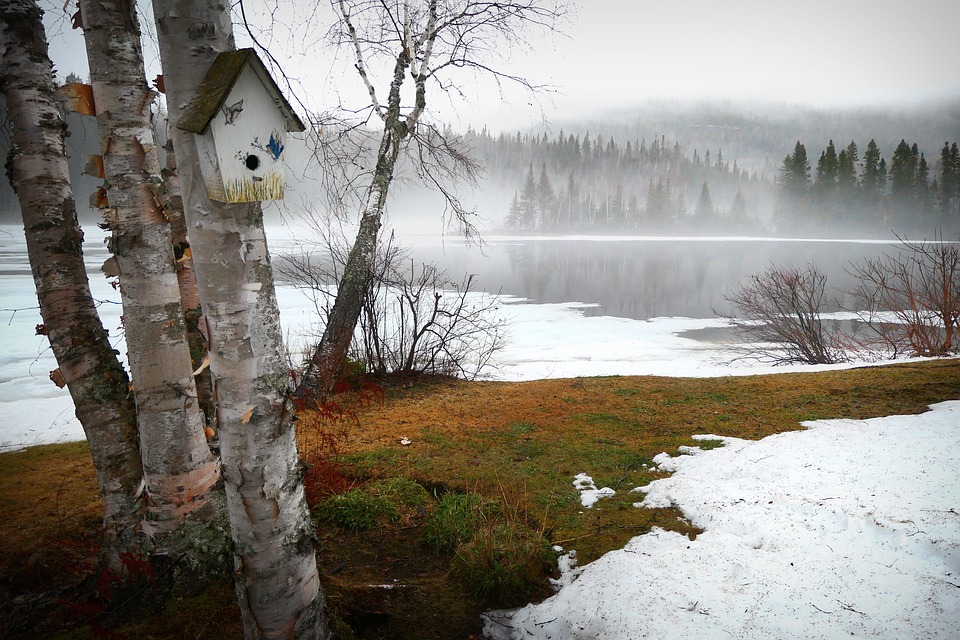 Klimawandel bedroht Artenvielfalt – Experten fordern schnelles Handeln.