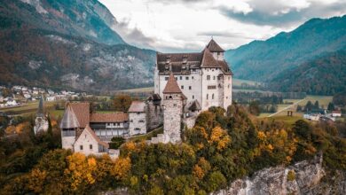 Börse Express - Liechtenstein schafft Regulierung für Staking und Lending
