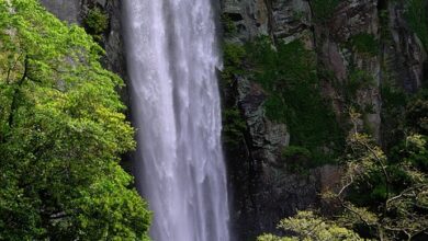 NEL-Aktie tiefrot: NEL ASA erzielt Umsatzplus - Verlust wird kleiner 17.04.2024