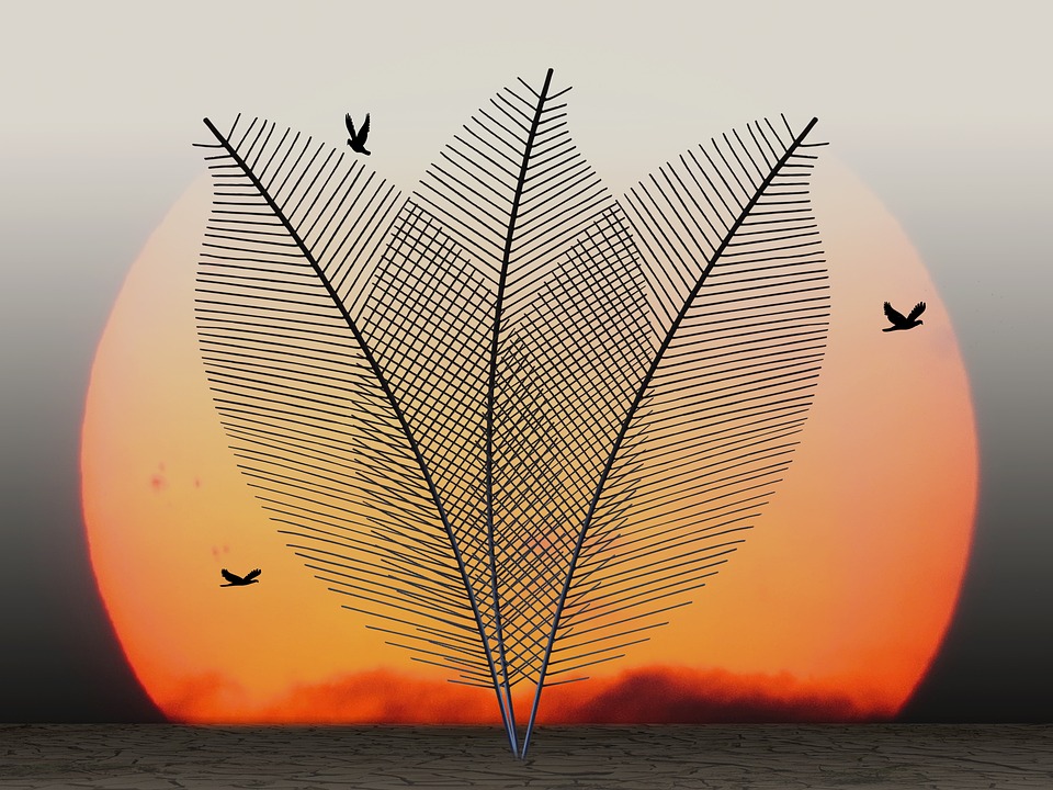 Nachhaltige Mode: Wie fair produzierte Kleidung die Umwelt schützt