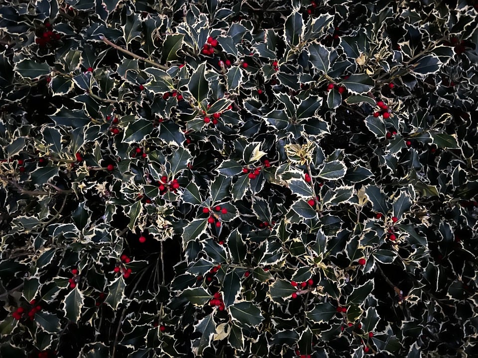 Neue Studie deckt Mängel im Bildungssystem auf: Schüler leiden unter schlechter Finanzierung