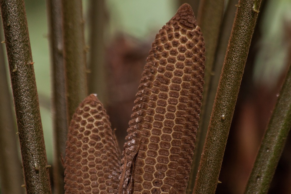 Nikola plant Reverse-Aktiensplit zur Rettung – Aktien im Abwärtstrend