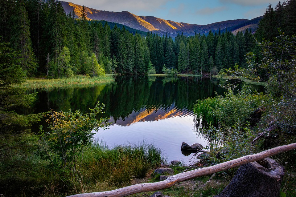 Ökonom warnt: Niedriges Wachstum wird zur deutschen Normalität