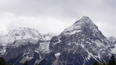 Bau und Industrie bremsen Österreichs Wirtschaft aus - Wirtschaftspolitik