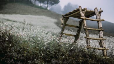 Steuerreform für Ehepaare: Was würde sie für Familien bedeuten?