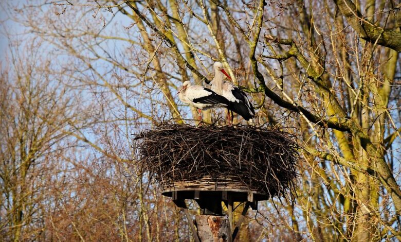 Neues Wohngebiet in Wesel: Häuser und Wohnungen geplant