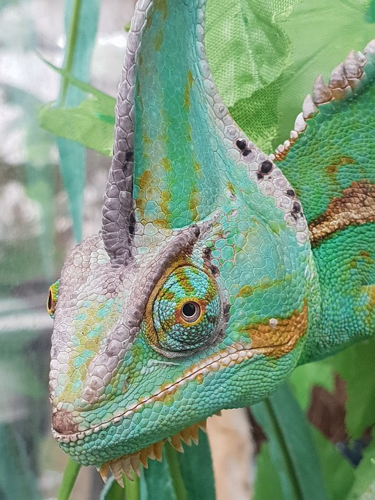 Sicherheitsinteressen und Handelspolitik: Umbrüche in der Weltwirtschaft erfordern Anpassungen