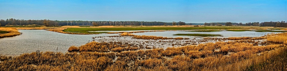 US-Treasuries überschwemmen Märkte: Droht ein Super-GAU?
