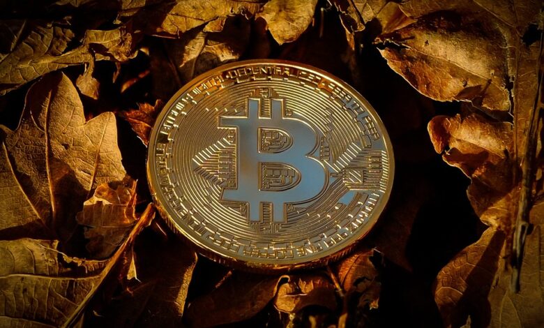 Digitalwährungen im Fokus: So bewegen sich Bitcoin & Co. am Freitagnachmittag 03.05.2024