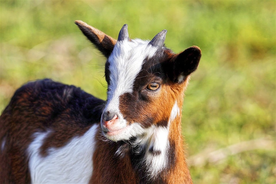 Girokonto-Kosten im Check: Versteckte Gebühren offenlegen
