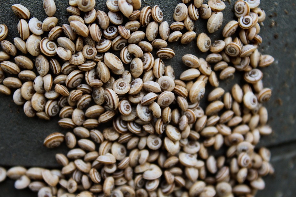 Versicherungsverein LVM meldet Jahresüberschuss von 85,3 Millionen Euro